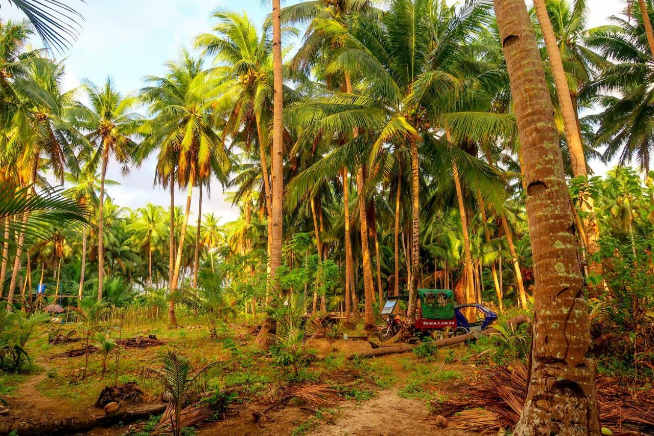Efrena Agro Tourism Beach Эль-Нидо Экстерьер фото